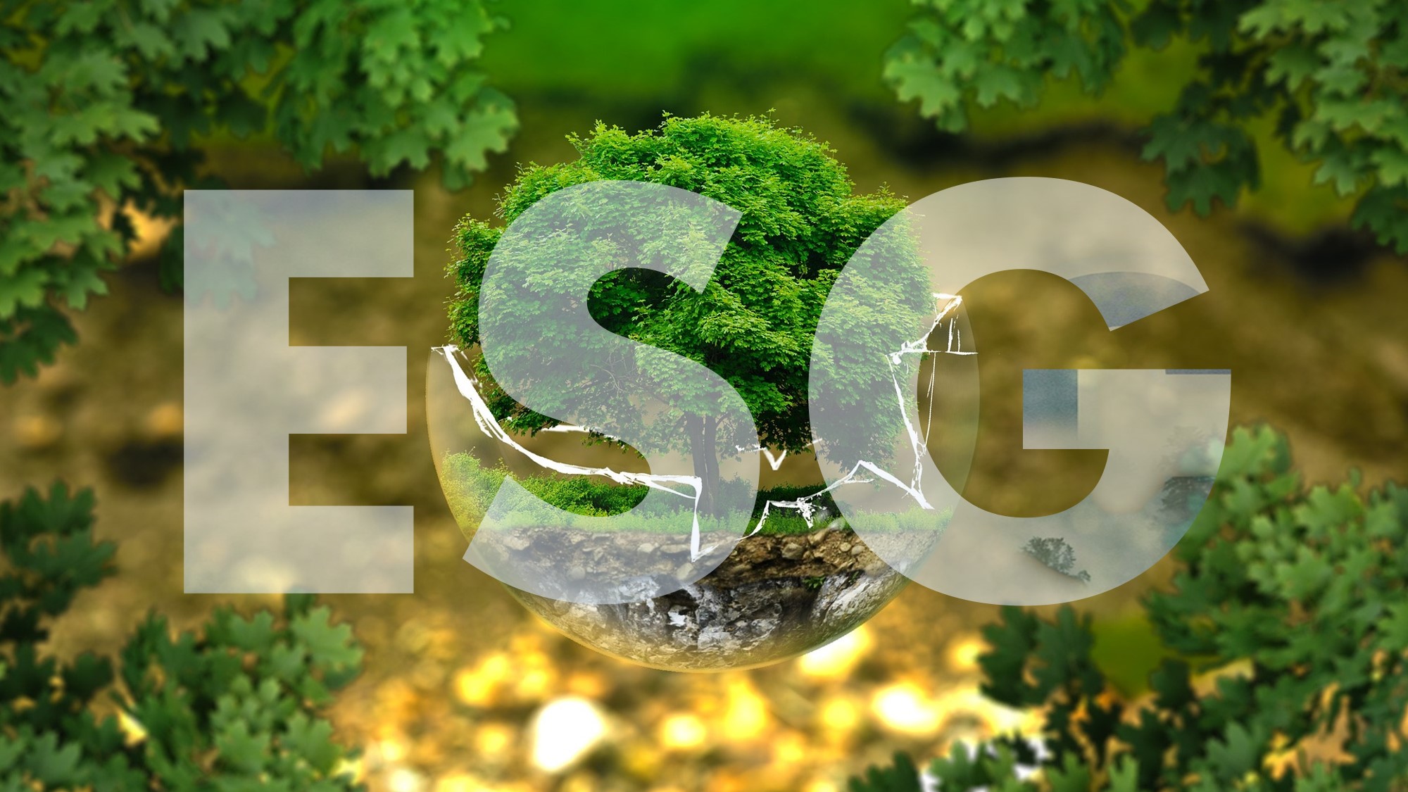 esg keywords cover