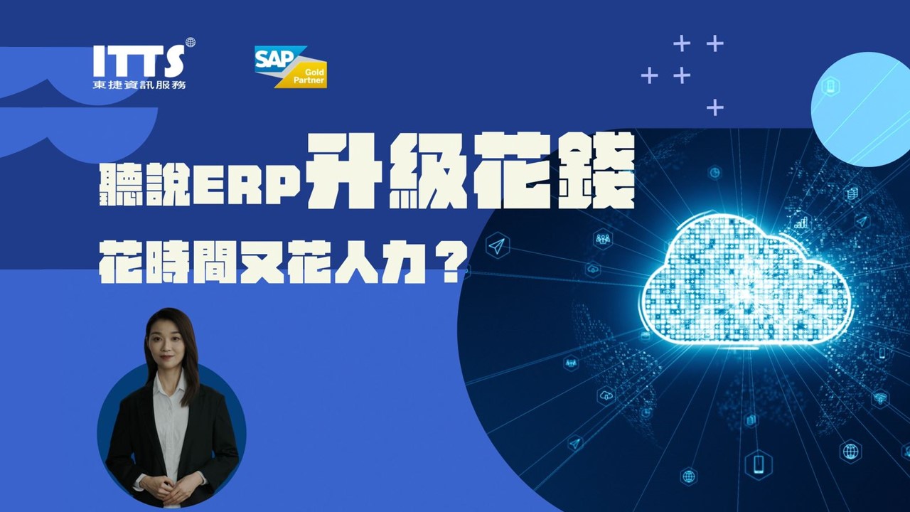 ERP升級資源投入項目