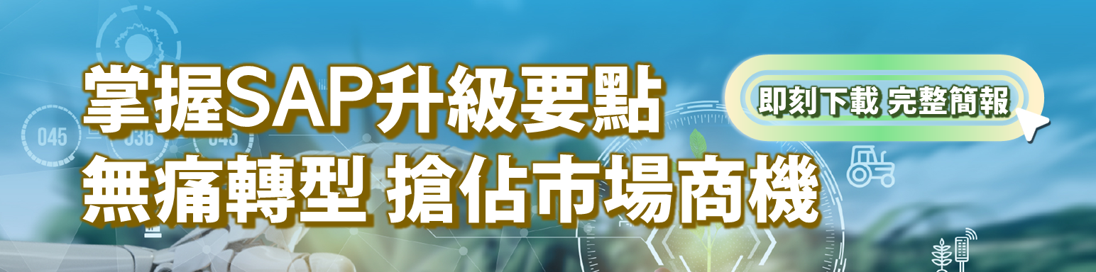 ITTS ERP顧問服務