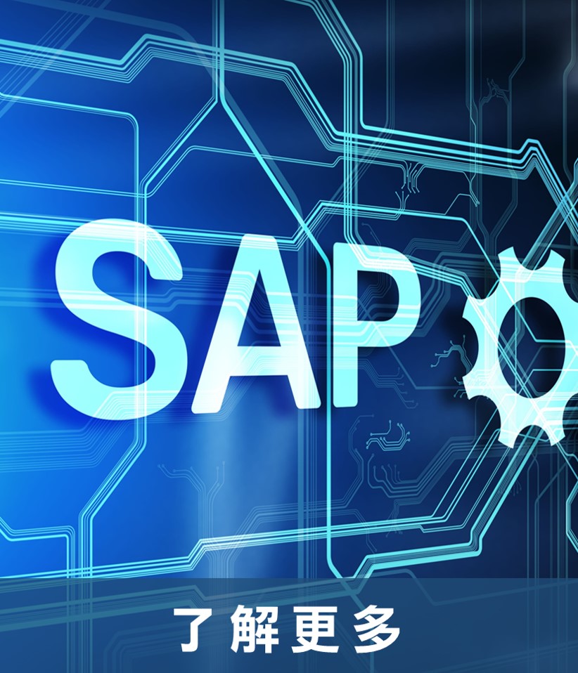 itts ito SAP ERP整合規劃